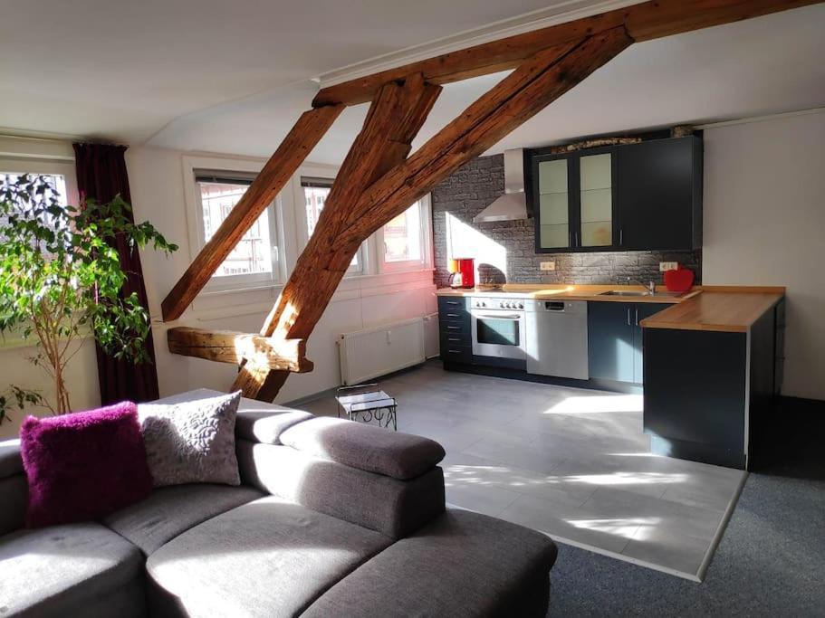 Apartment Grosse 130 M2 Gemuetliche Im Herzen Tribergs