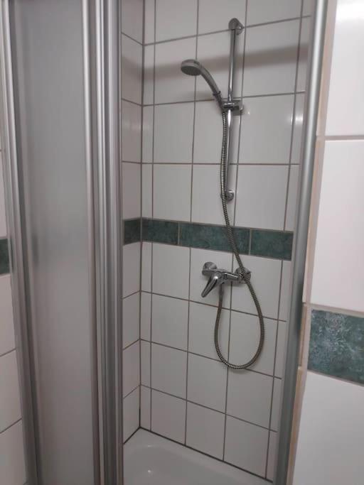 Grosse 130 M2 Gemuetliche Im Herzen Tribergs *