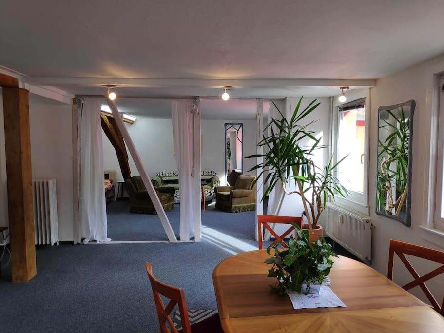 Grosse 130 M2 Gemuetliche Im Herzen Tribergs *