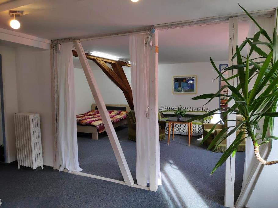 Apartment Grosse 130 M2 Gemuetliche Im Herzen Tribergs *