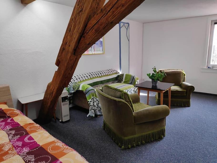Grosse 130 M2 Gemuetliche Im Herzen Tribergs
