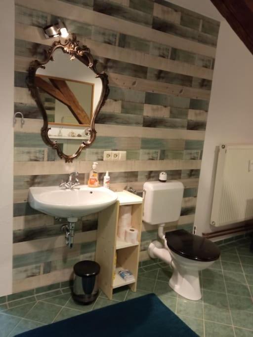 Apartment Grosse 130 M2 Gemuetliche Im Herzen Tribergs *