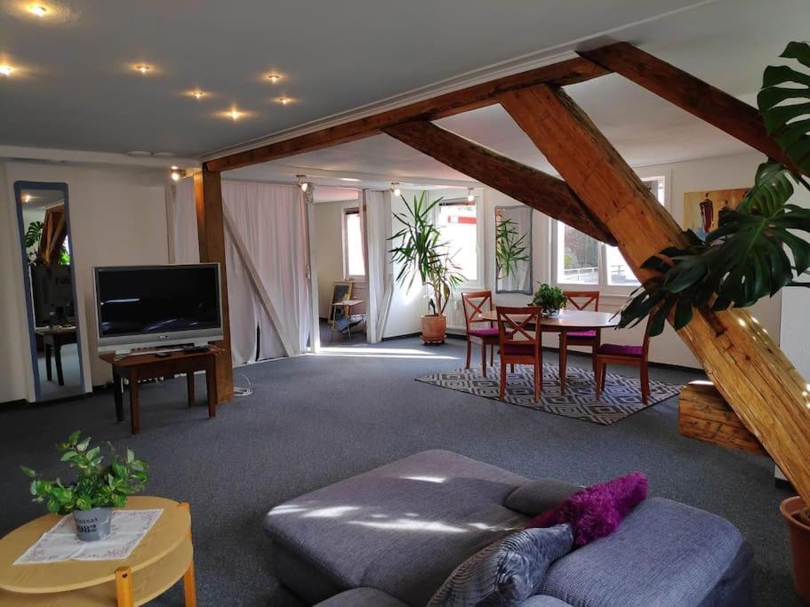 Apartment Grosse 130 M2 Gemuetliche Im Herzen Tribergs